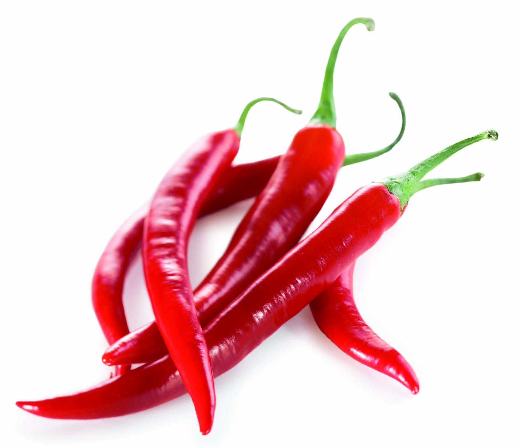 hot chili