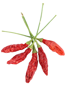 piripiri.jpg
